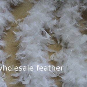 Pode incluir: Close-up de boas de penas brancas, um acessório popular para fantasias e artesanato. A imagem apresenta várias boas, com o texto "wholesale feather" visível.