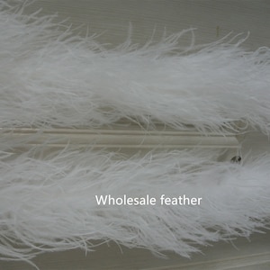 25 colors 4 ply white ostrich Feather Boa for Costume supply party supply