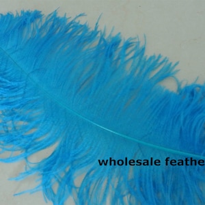 22 colors 30 pcs 24-25inch turquoise big ostrich feather plumes