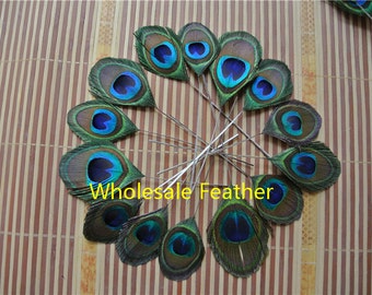 100 pcs trimmed peacock feather trimmed peacock eye feather for decor