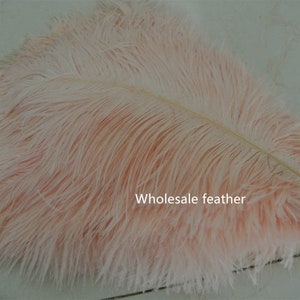 50 pcs fard à joues rose champagne rose plume d&#39;autruche panache pour pièce maîtresse de mariage décoration de mariage fête événement approvisionnement approvisionnement de bal