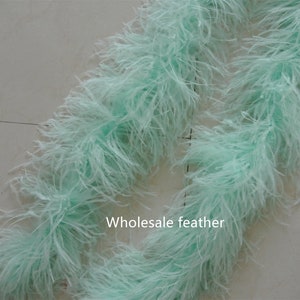 25 colors 5 ply mint green ostrich Feather Boa for Costume supply party supply