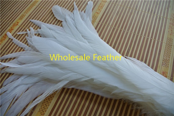 200 Pcs white hackle feathers 