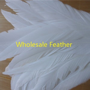 50 Stück 12-14 inch rein weiße Coque Hahn Hechelschwanzfedern für Kostüme Dekor