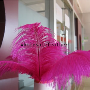 50 pcs Hot Pink plume d’autruche plume plume pour la pièce maîtresse de mariage de mariage décoration partie événement fourniture de bal approvisionnement