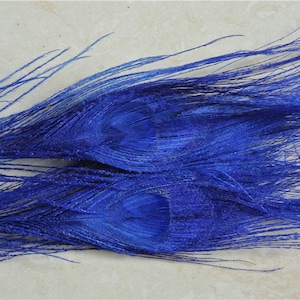 100 pcs royal blue peacock feather for crafts hat decor Peacock Tail Eye Feathers for costumes decor