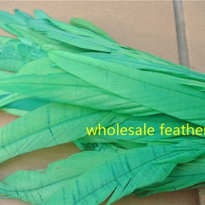 100 pcs kelly green Coque rooster tail feather loose for feather costume decor