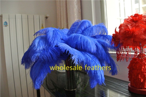 50pcs Ostrich Feathers For Decorations