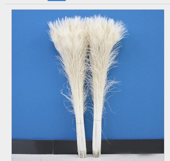 50Pcs Natural Peacock Feathers for Crafts Peacock Decor Vases Feather White  Wedding Accessories Decoration DIY Carnaval Jewelry - AliExpress