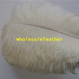 100 pcs Ivory ostrich feather plumes for wedding centerpieces wedding decor party supply prom supply image 4