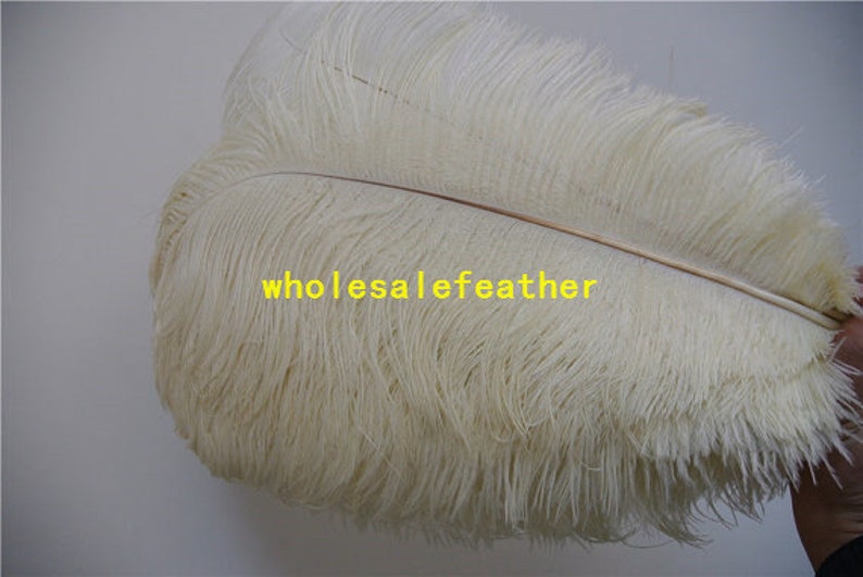 100 pcs Ivory ostrich feather plumes for wedding centerpieces wedding decor party supply prom supply image 4