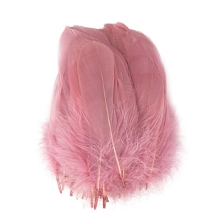 May include: A collection of soft, dusty rose-coloured feathers. The feathers are long and slender, with a fluffy, fringed base. They are arranged in a slightly overlapping pattern against a white background. Suitable for craft projects or decorative use.