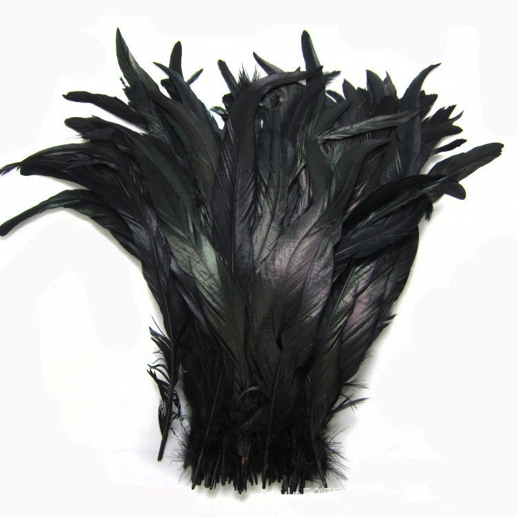 Hahnenschlappen,schwarz,grünschillernd,25-30cm,Karneval,Hahnenschwanz Federn