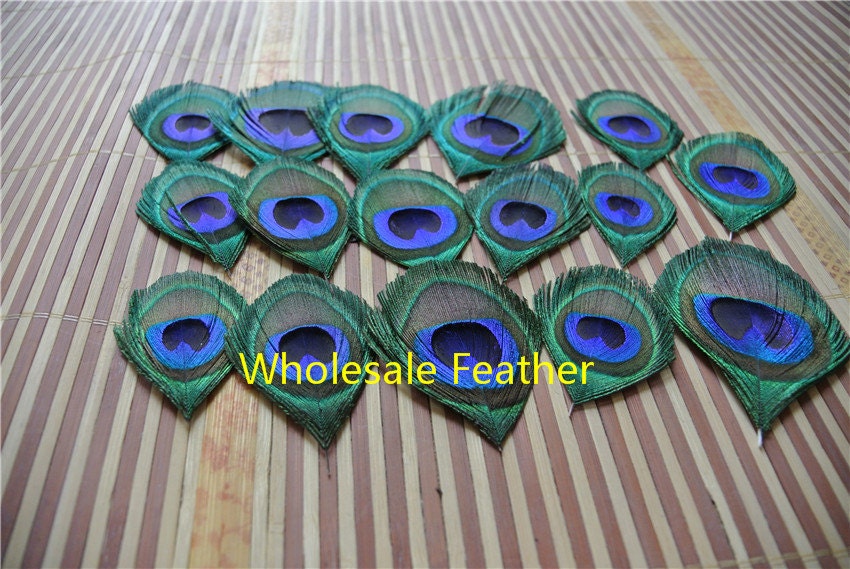 100 Pcs Trimmed Peacock Feather Trimmed Peacock Eye Feather for Crafts  Costumes 