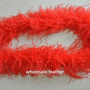 May include: A long, bright red ostrich feather boa. The boa is made of soft, fluffy feathers and is perfect for adding a touch of glamour to any outfit.
