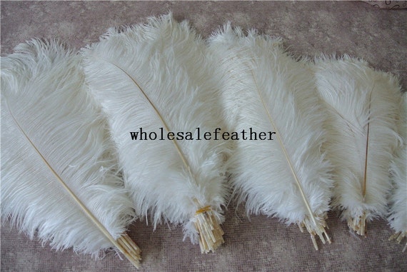 100pcs Champagne Ostrich Feather Plume for Wedding Centerpieces