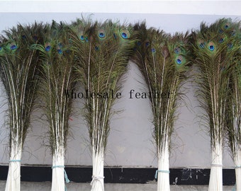 50 pcs 31-34inch peacock feather peacock eye feather for decor