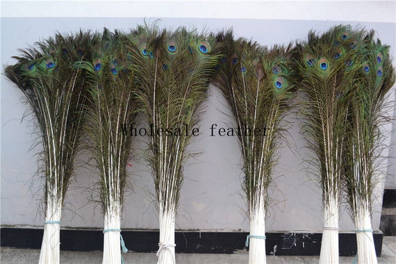 10Pcs Natural Peacock Feather Big Eyes Peacock Feathers 25-65CM
