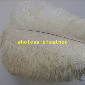 100 pcs Ivory ostrich feather plumes for wedding centerpieces wedding decor party supply prom supply image 5