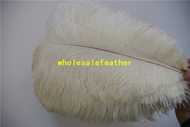 100 pcs Ivory ostrich feather plumes for wedding centerpieces wedding decor party supply prom supply image 5