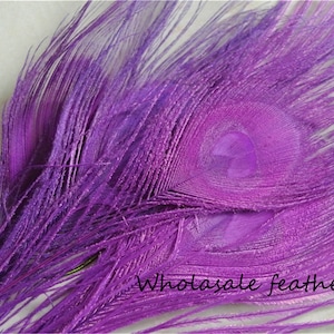 50 pcs purple  peacock feather for crafts hat decor Peacock Tail Eye Feathers for costumes decor