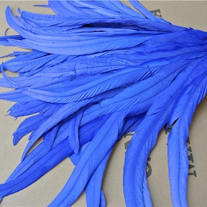 以下が含まれることがあります： 鳥の羽根と思われる、鮮やかな青色の羽根が扇形に並べられています。羽根は長く、細く、先端がわずかに曲がっています。