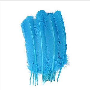 18 colors 50 pcs turquoise pheasant ringneck feather turkey rounds quill feather 10-12inch