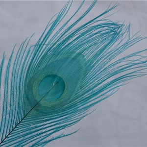 100 pcs turquoise peacock feather for crafts hat decor Peacock Tail Eye Feathers for costumes decor