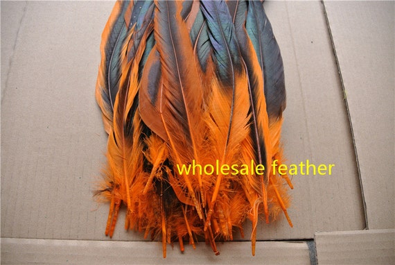 FEATHERS 10 X Orange 2 Tone ROOSTER COCK TAIL FEATHERS UK Seller Free p/&p