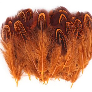 Plumas de gallo, 300 plumas coloridas para manualidades de 4 a 6 pulgadas,  plumas de cuello de faisán para colgantes, aretes, atrapasueños, bricolaje
