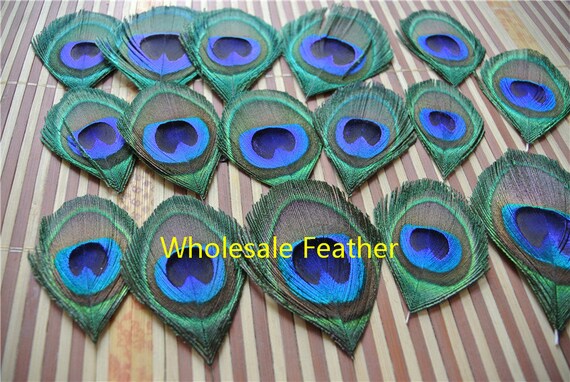 100 Pcs Trimmed Peacock Feather Trimmed Peacock Eye Feather for Crafts  Costumes 