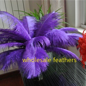 May include: A bunch of purple ostrich feathers, arranged in a vase. The feathers are soft and fluffy, and they have a natural, elegant look. The text "wholesale feathers" is visible in the image.