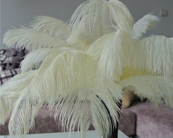 50 pcs ivory ostrich feather plumes for wedding centerpieces wedding party decor prom supply