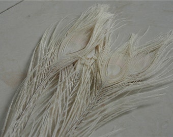 100 pcs off white  peacock feather for crafts hat decor Peacock Tail Eye Feathers for costumes decor