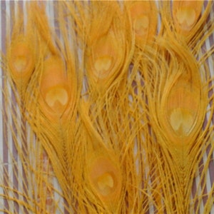 100 pcs Gold peacock feather for crafts hat decor Peacock Tail Eye Feathers for costumes decor