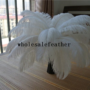 Large Feathers, 10 Pieces 18-24 White Prime Grade Large Ostrich Wing Plumes  Centerpiece Feathers : 2224 