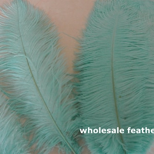 100 pcs mint green ostrich feather plume for wedding centerpiece wedding decor party supply prom supply