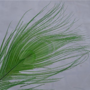 100 pcs lime Green peacock feather for crafts hat decor Peacock Tail Eye Feathers for costumes decor