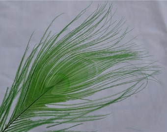 100 pcs lime Green peacock feather for crafts hat decor Peacock Tail Eye Feathers for costumes decor