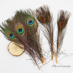 100 pcs yellow black orange purple royal blue turquoise red hot pink Lime green peacock feather for crafts hat decor supply