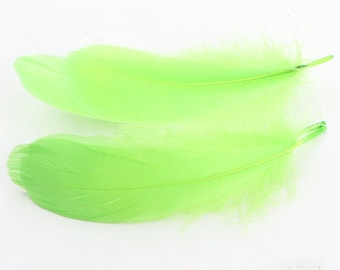 24 couleurs 100 pcs vert lime GOOSE plumes lâches 3-5 pouces (8-13cm)