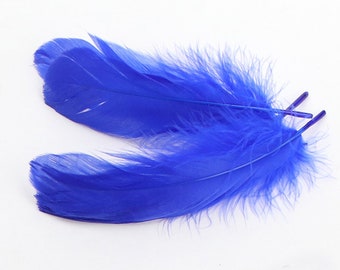 24 couleurs 100 pcs bleu royal GOOSE plumes lâches 3-5 pouces (8-13cm)