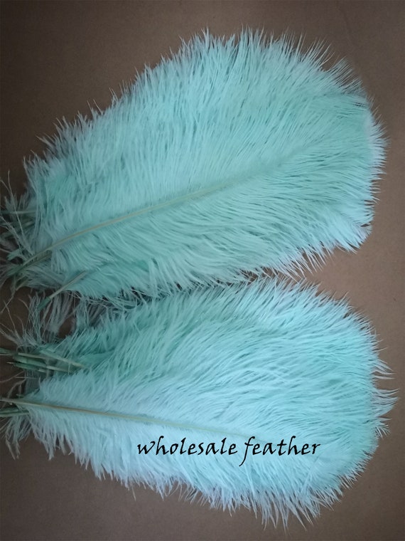 Buy 100 Pcs Mint Green Ostrich Feather Plumes for Wedding