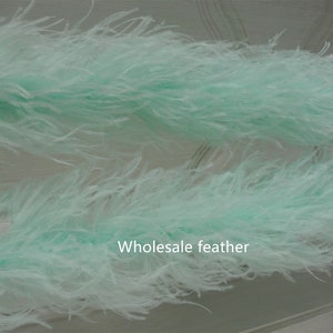 25 colors 4 ply mint green ostrich Feather Boa for Costume supply party supply
