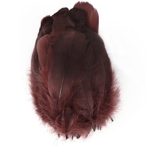 40 colors 100 pcs dark brown GOOSE feathers loose for craft supply 4-7 inch (13-18cm)