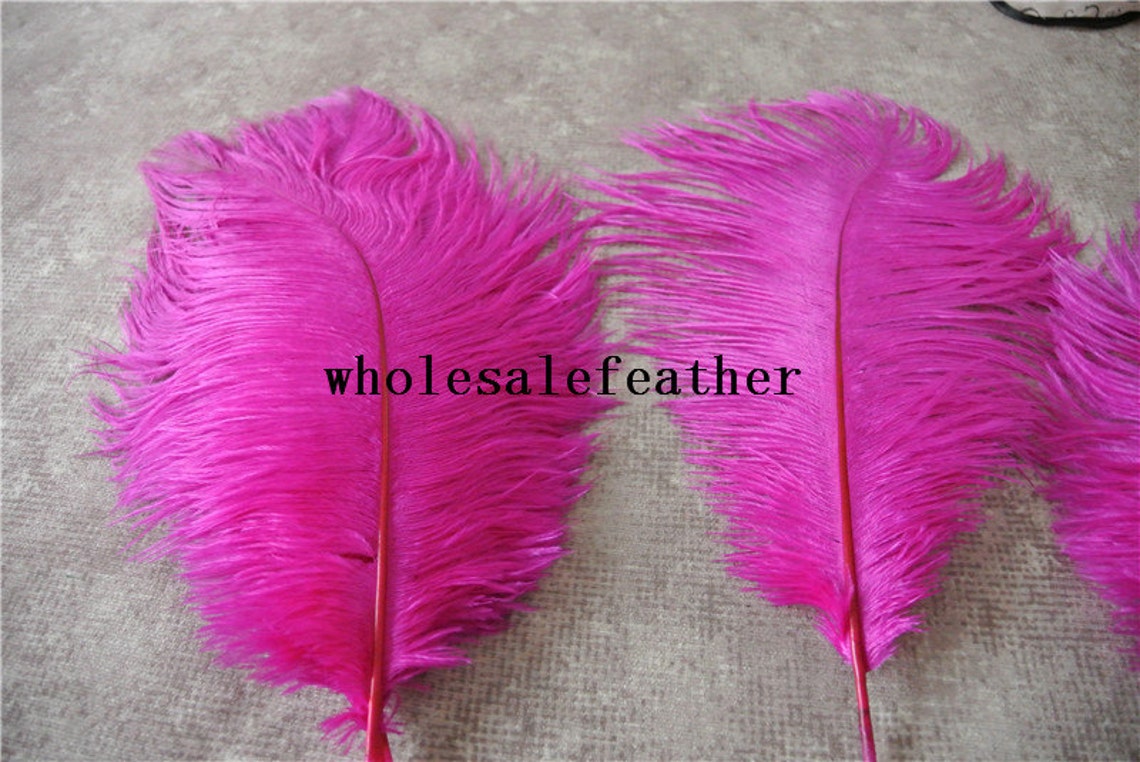 100 Pcs Hot Pink Fuchsia Ostrich Feather Plumes for Wedding - Etsy