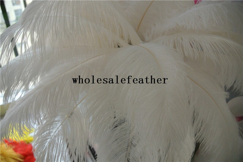 50 pcs WHITE ostrich feather plume for wedding centerpiece wedding decor party decor prom supply image 4