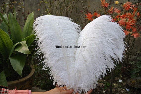 50 Pcs Black Ostrich Feathers Plumes for Wedding Centerpiece Supply Craft  Party Prom Supply 