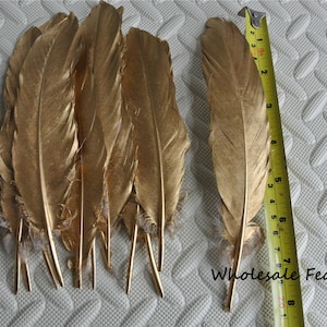 100 pcs gold GOOSE feather loose for craft supply 5-8 in (13-20 cm)