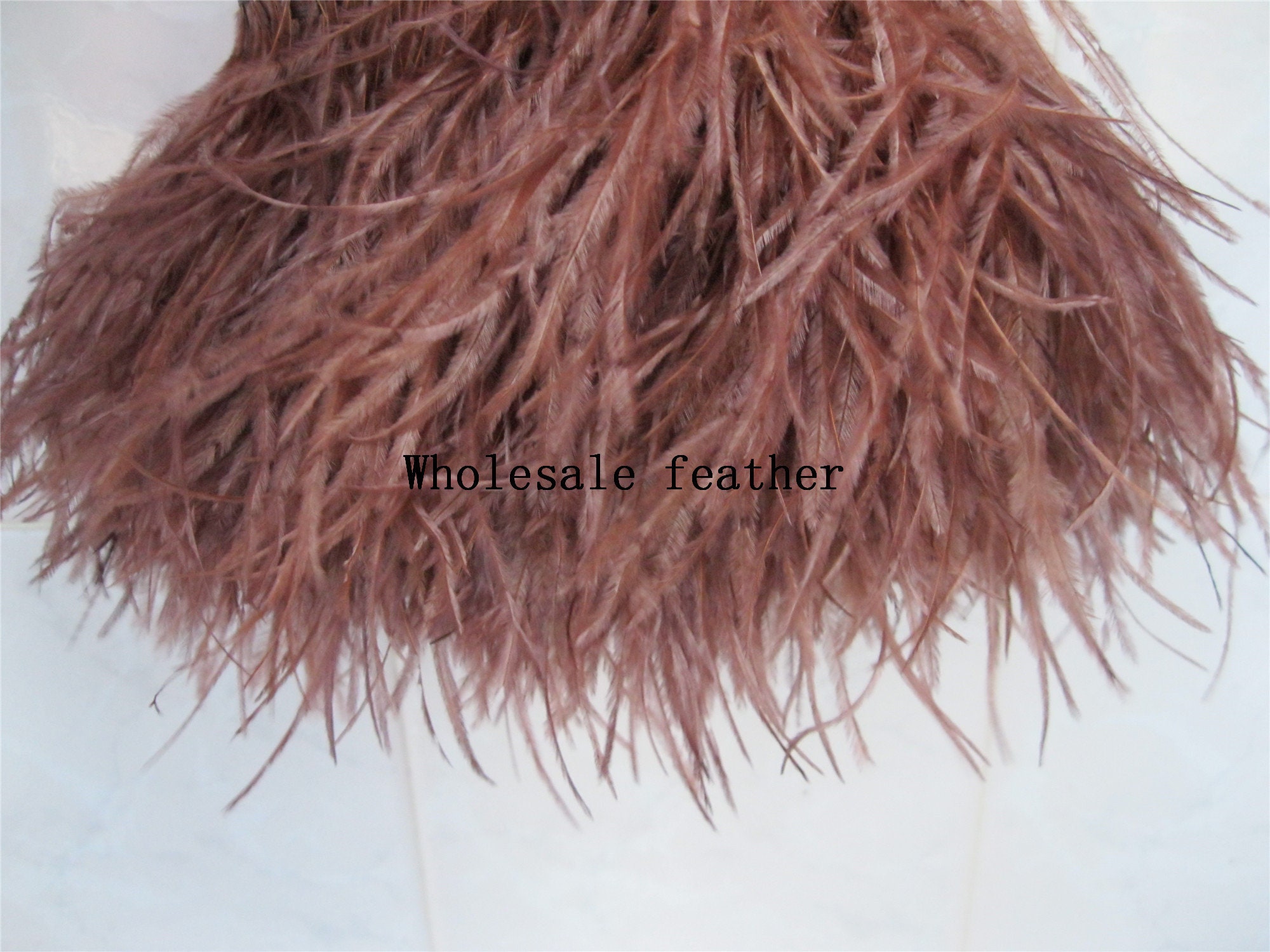 Brown ostrich sale feathers